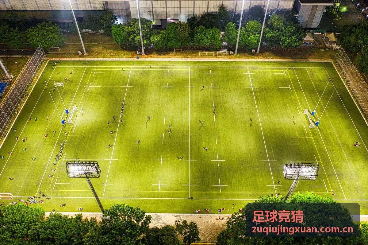 足球竞猜世界杯预选赛分析